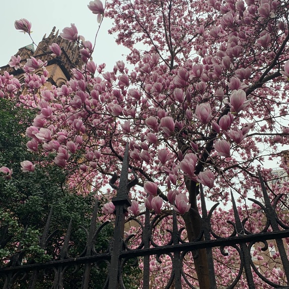 Meet your Posher, Yanina - Picture 1 of 1